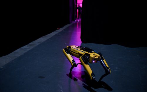 Robot Anjing Taiwan Buatan Sendiri Resmi Diluncurkan